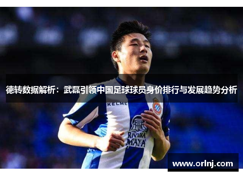 德转数据解析：武磊引领中国足球球员身价排行与发展趋势分析