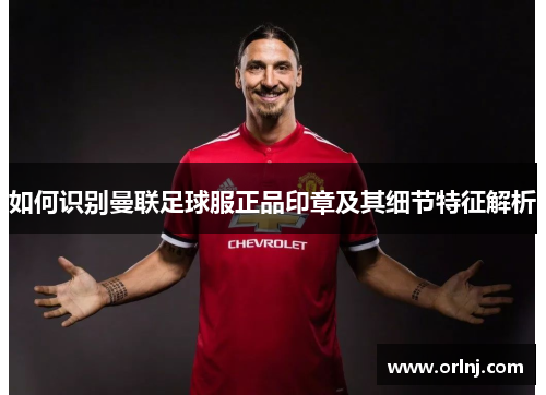 如何识别曼联足球服正品印章及其细节特征解析